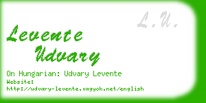 levente udvary business card